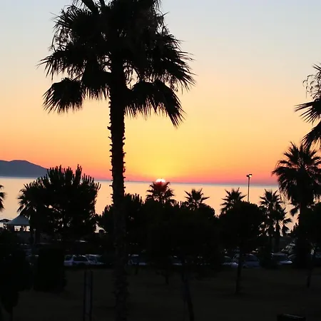 Alb'sun Avlonya